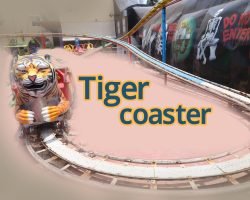 Tiger Coaster - dw park